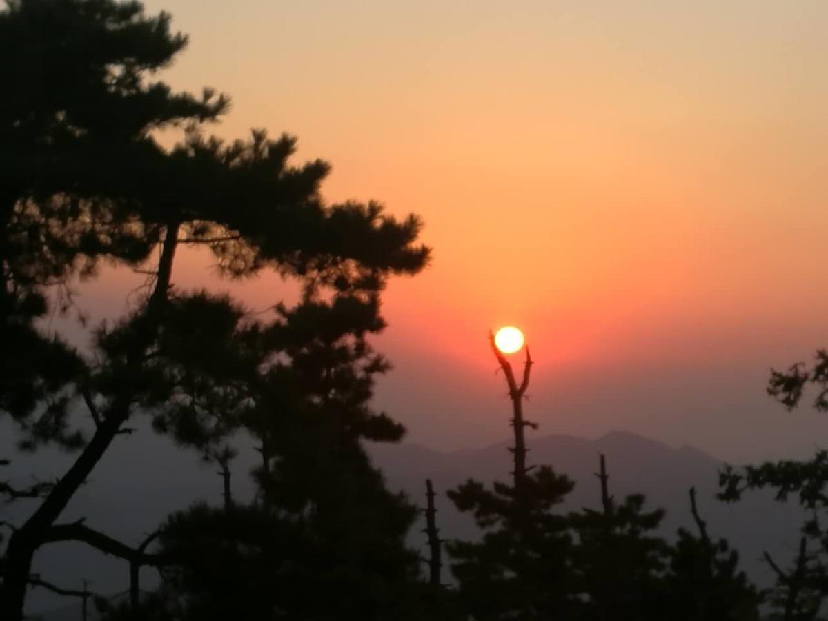 Vila Mogan Mountain Xiaomusensen Deqing Exteriér fotografie