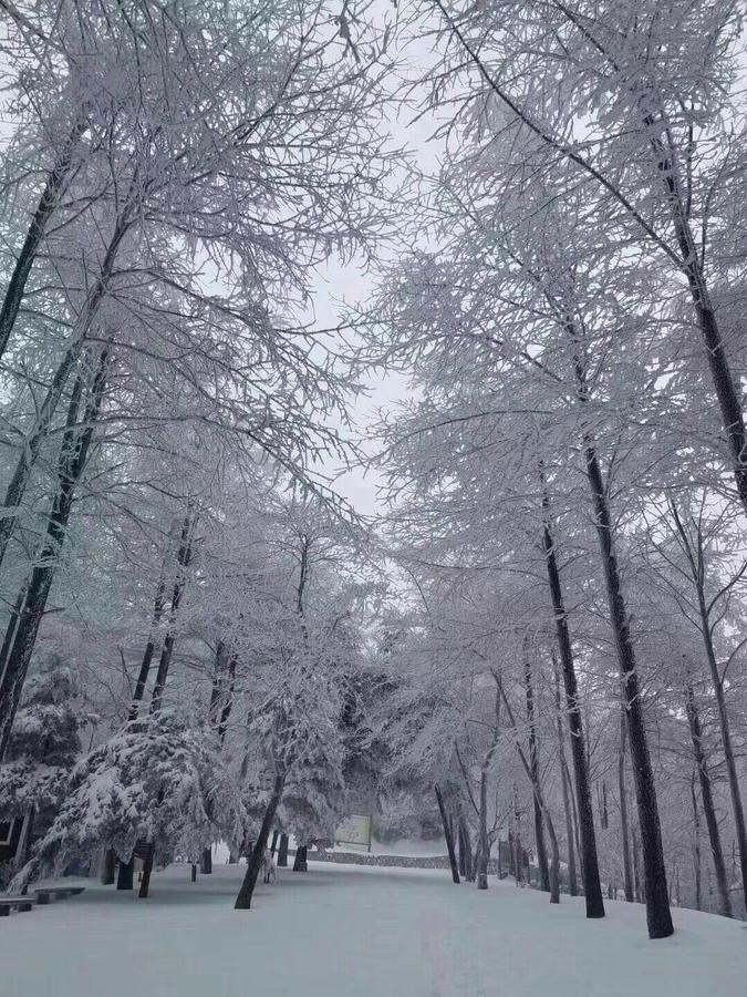 Vila Mogan Mountain Xiaomusensen Deqing Exteriér fotografie