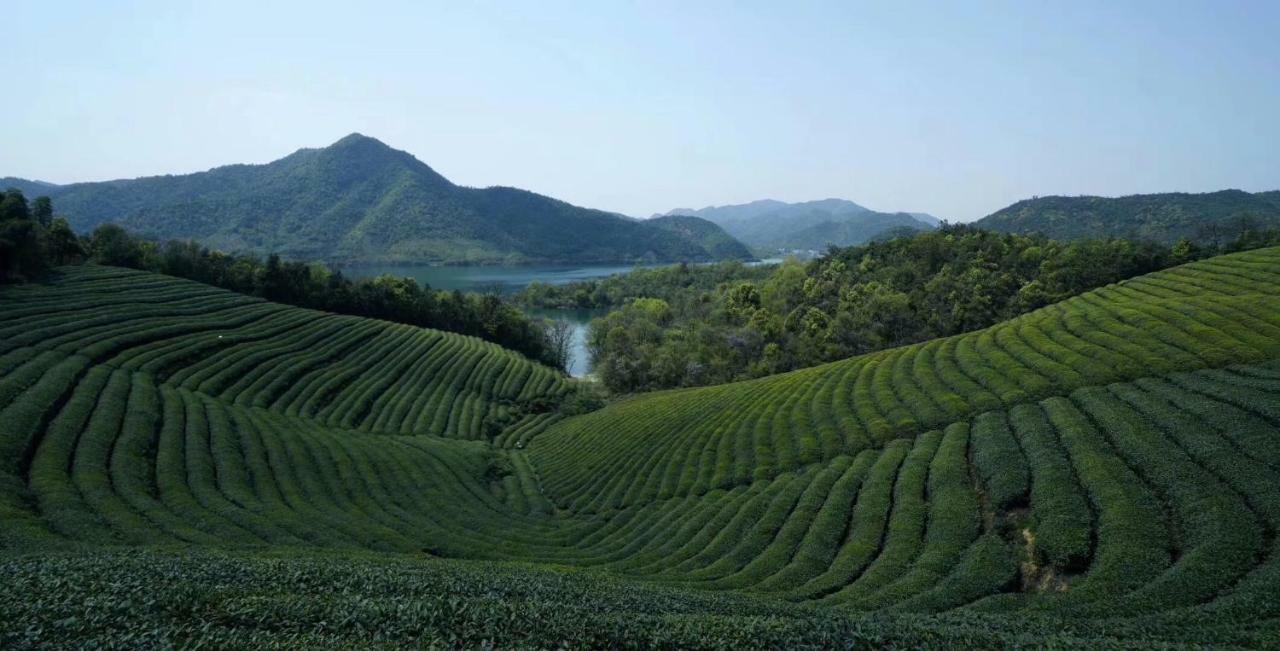 Vila Mogan Mountain Xiaomusensen Deqing Exteriér fotografie
